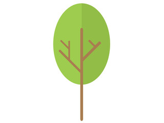 Tree against white background