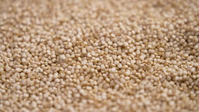 White quinoa seeds falling in slow motion. Superfood gluten free raw grains. Rotation