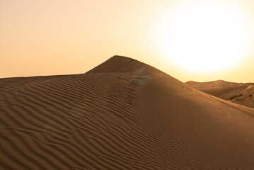 Fototapeta na wymiar Sand dune in Dubai's desert