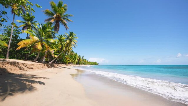 Caribbean sea and coconut palms against the blue sky. Landscape of sea waves on the beach. Vacation and vacation concept. Vacation holidays on sunny tropical coast. Cruise.