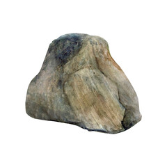 Watercolor drawn massive greyish-brown bottom stone on white background. Underwater isolated picture for illustration, stickers, logo, background
