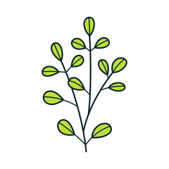 Hand Drawn Plant Doodle Icon