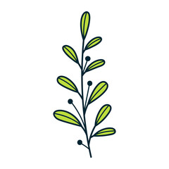 Hand Drawn Plant Doodle Icon
