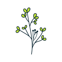 Hand Drawn Plant Doodle Icon