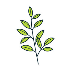 Hand Drawn Plant Doodle Icon