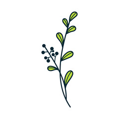 Hand Drawn Plant Doodle Icon