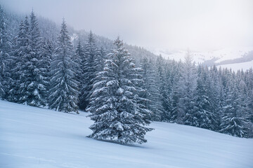 Mountain hill during freezing winter.High quality photo