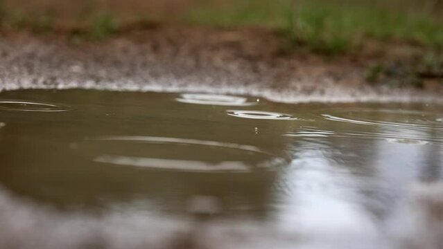 Raindrops falling into a puddle in forest on a path in super slow motion