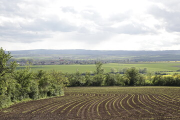 field in region country