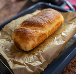 homemade loaf of  bread on baking paper and baking sheet
