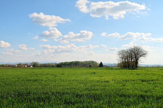 Po Valley Panorama Landscape Fields Agriculture Sky Horizon Color Blue Trees Earth Terrain Italy Italian