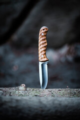 Outdoor knife stuck in wood