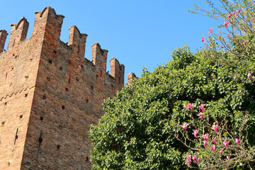 Belgioioso castle panorama landscape village characteristic art history culture italy italian...