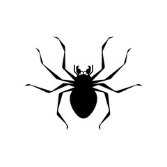 Spider isolated. Poisonous dangerous insect. Vector illustration