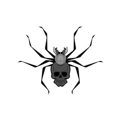 Black widow spider isolated. Poisonous dangerous spider.