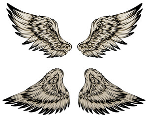 Bird wings illustration tattoo style. Hand drawn design element.