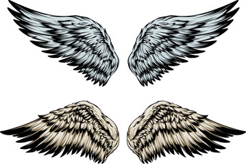 Bird wings illustration tattoo style. Hand drawn design element.