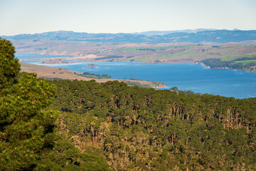 View of the Coast at Point Reyes National Seashore