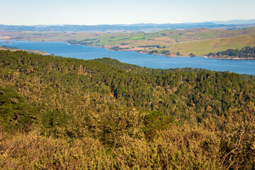 View of the Coast at Point Reyes National Seashore