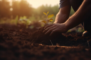 men planting trees in dirt and soil near the sun, ai generative