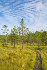 View of  The Tremanskarr swamp and nature trail, Espoo, Finland