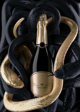 bouteille de vin mousseux entourer de serpents 