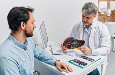 Gastroenterologist doctor explaining liver and gallbladder problems using anatomical model to patient during clinic visit. Treatment of gallbladder and liver diseases