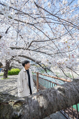 person walking in the park