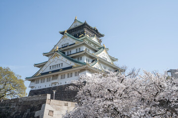japanese castle in the park