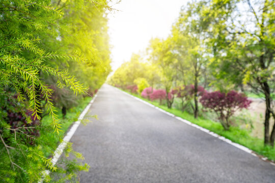 Green belt road clearance