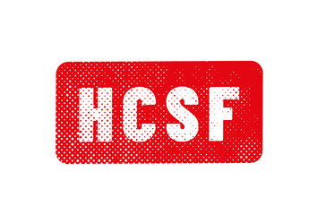 HCSF - Haut Conseil de stabilité financière en france