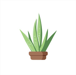 aloe vera plant illustration design template, aloe vera icon