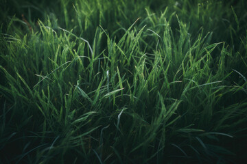 Green grass background. Generative AI
