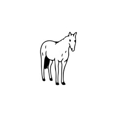 Obraz na płótnie Canvas vector illustration doodle horse concept