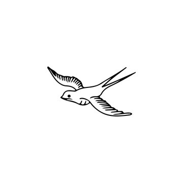 swallow bird illustration vector with concept