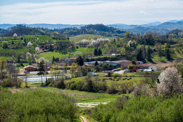 beautiful view panorama on italian Langhe, Piedmont, Italy