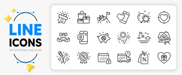 Father day, Discount and Fireworks rocket line icons set for app include Discount tags, Delivery, Fireworks outline thin icon. Home grill, Piggy sale, Romantic gift pictogram icon. Vector