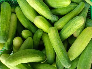 cucumbers in the market