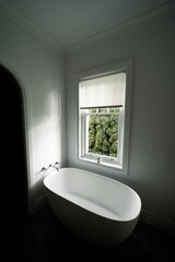 Fototapeta na wymiar Vertical shot of the sunlight slightly illuminating a white modern bathtub