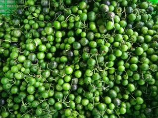 leunca, green peas background