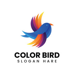 Obraz premium Colorful flying bird logo design vector illustration.