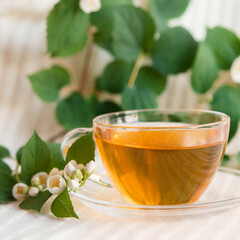 cup of herbal tea with jasmine flowers	