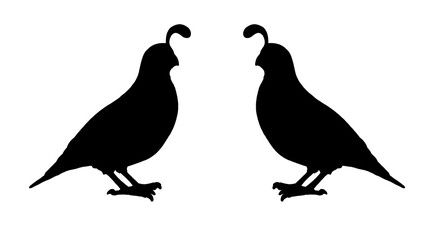 Black silhouette of quail. Drawing with funny animals. Template for children to cut out.