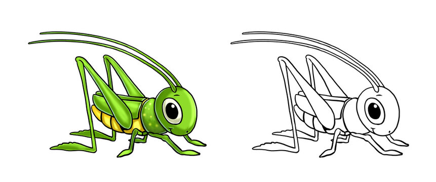 Cute funny grasshopper for coloring. Template for a coloring book with funny animals. Colouring page for kids.