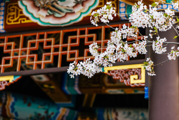 Ancient Chinese pavilions and blooming crabapple flowers