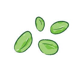 Cute simple edamame beans in flat illustration