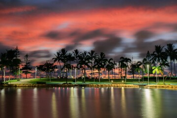 Obraz premium View of the palm trees on the lake coast at night