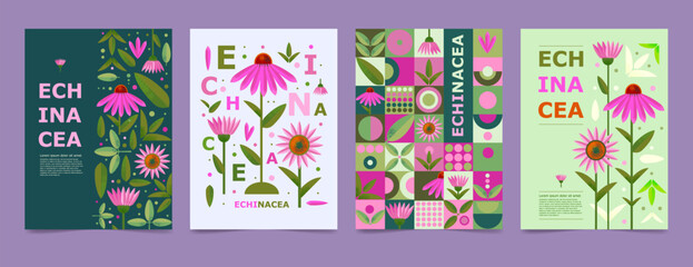 Set poster, brochure with Echinacea drawing. Isolated flower and leaves. Cards geometry for print design vector banner - obrazy, fototapety, plakaty
