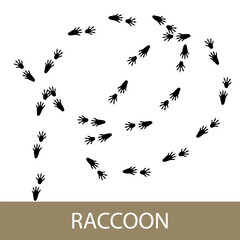Traces of forest mammal animal, footprints of raccoon, vector illustration