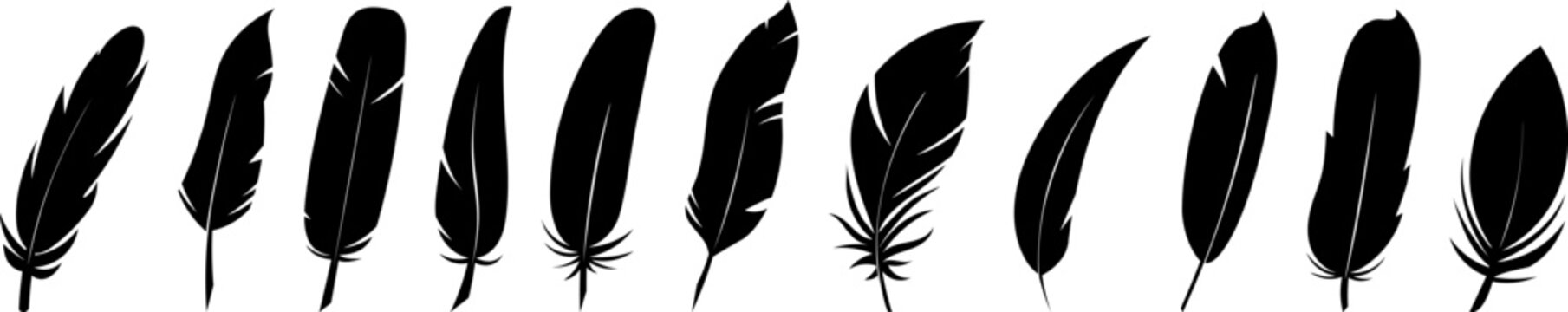 Set of Bird Feather. Feathers vector set in a flat style. Pen icon. Black quill feather silhouette. Plumelet collection isolated on white background